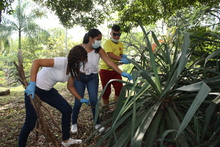 Parques del Acueducto y San Antonio