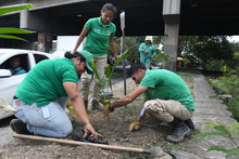 Jornadas en la carrera 8 con calle 73 y lugares aleda&ntilde;os.