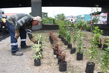 Jornadas en la carrera 8 con calle 73 y lugares aleda&ntilde;os.