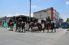 Ciudad Limpia retir&oacute; media tonelada de residuos del &aacute;rea de renovaci&oacute;n urbana