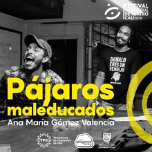 El 60 % de la programaci&oacute;n del Festival Internacional de Teatro de Cali ser&aacute; gratuita