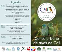 Cali se alista para realizar el censo de aves urbanas 2018