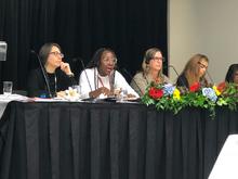 Plan de acci&oacute;n de Cali para la estrategia &ldquo;ciudades seguras para mujeres y ni&ntilde;as&rdquo; fue presentado en Canad&aacute;