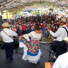 Festival de M&uacute;sica del Campo 14