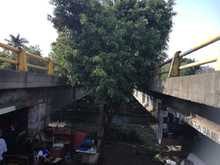 Este jueves 15 de noviembre, todos a la jornada de limpieza de la ribera del rio Cali 