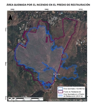 &Aacute;rea quemada en el cerro Los Cristales y ecoparque Cristo Rey.