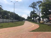 El Corredor Verde, la mayor obra del progreso para los peatones