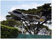 Avionetas de la Base A&eacute;rea tambi&eacute;n forman parte paisaj&iacute;stica del Corredor Verde