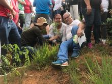  1.000 &aacute;rboles m&aacute;s fueron sembrados en el cerro de Cristo Rey