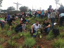  1.000 &aacute;rboles m&aacute;s fueron sembrados en el cerro de Cristo Rey