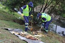 Se inici&oacute; la intervenci&oacute;n de la avenida Ciudad de Cali 