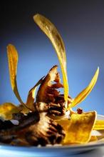 Chicharr&oacute;n Gourmet