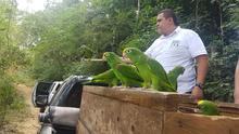 Dagma rehabilit&oacute; 60 animales silvestres que fueron liberados en la Costa Atl&aacute;ntica 