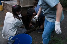 Dagma rehabilit&oacute; 60 animales silvestres que fueron liberados en la Costa Atl&aacute;ntica 