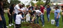 Siembra de 200 guayacanes 01