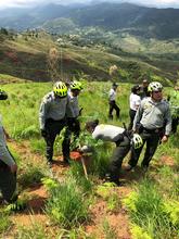 El Plan Ave F&eacute;nix se sigue fortaleciendo, este fin de semana 800 &aacute;rboles fueron sembrados