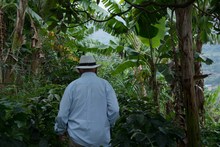 Umata entrega insumos en zona rural por m&aacute;s de 900 millones de pesos