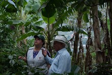 Umata entrega insumos en zona rural por m&aacute;s de 900 millones de pesos