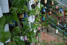 Umata entrega insumos en zona rural por m&aacute;s de 900 millones de pesos