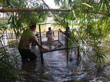 Autoridades ambientales trabajan conjuntamente en la liberaci&oacute;n y reubicaci&oacute;n de animales silvestres v&iacute;ctimas del tr&aacute;fico ilegal