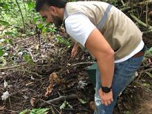 Autoridades ambientales trabajan conjuntamente en la liberaci&oacute;n y reubicaci&oacute;n de animales silvestres v&iacute;ctimas del tr&aacute;fico ilegal