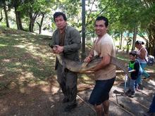 Autoridades ambientales trabajan conjuntamente en la liberaci&oacute;n y reubicaci&oacute;n de animales silvestres v&iacute;ctimas del tr&aacute;fico ilegal