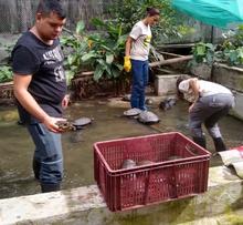 Autoridades ambientales trabajan conjuntamente en la liberaci&oacute;n y reubicaci&oacute;n de animales silvestres v&iacute;ctimas del tr&aacute;fico ilegal