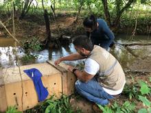 Autoridades ambientales trabajan conjuntamente en la liberaci&oacute;n y reubicaci&oacute;n de animales silvestres v&iacute;ctimas del tr&aacute;fico ilegal