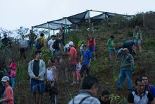 Exitosa jornada de siembra con el Plan Ave F&eacute;nix 1