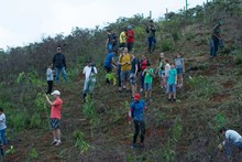Exitosa jornada de siembra con el Plan Ave F&eacute;nix 2