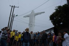 Exitosa jornada de siembra con el Plan Ave F&eacute;nix 3