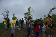 Exitosa jornada de siembra con el Plan Ave F&eacute;nix 4