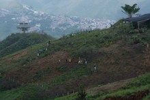 Exitosa jornada de siembra con el Plan Ave F&eacute;nix 5