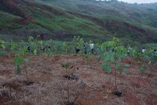 Exitosa jornada de siembra con el Plan Ave F&eacute;nix 6