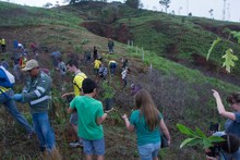Exitosa jornada de siembra con el Plan Ave F&eacute;nix 7