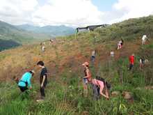 Cerro de Cristo Rey sigue reverdeci&eacute;ndose de entre las cenizas
