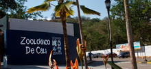 Foto5_Zool&oacute;gico de Cali