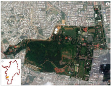 Nodo_Equipamientos_Napoles