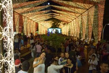 Alcald&iacute;a de Cali destaca buen comportamiento de visitantes al Alumbrado Navide&ntilde;o 