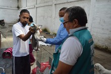 Jornada  de  esterilizaci&oacute;n gratuita para caninos y felinos del &aacute;rea de renovaci&oacute;n urbana