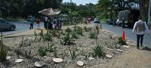 Con residuos vegetales de las podas, el Dagma podr&iacute;a recuperar zonas verdes deterioradas de Cali