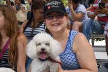 Perros y gatos tambi&eacute;n se gozan la Feria de Cali 2