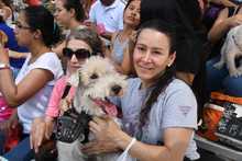 Perros y gatos tambi&eacute;n se gozan la Feria de Cali 4