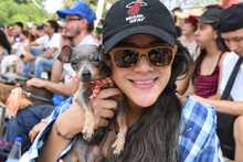 Perros y gatos tambi&eacute;n se gozan la Feria de Cali 8