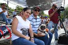 Perros y gatos tambi&eacute;n se gozan la Feria de Cali 9