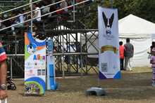 Perros y gatos tambi&eacute;n se gozan la Feria de Cali 12