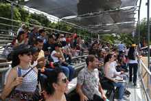 Perros y gatos tambi&eacute;n se gozan la Feria de Cali 20