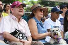 Perros y gatos tambi&eacute;n se gozan la Feria de Cali 21