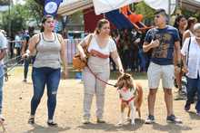 Perros y gatos tambi&eacute;n se gozan la Feria de Cali 23