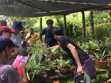 Mi Comunidad es Escuela trabaja en IEO rurales para fortalecer tejidos y proyectos productivos